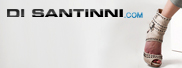 Di Santinni
